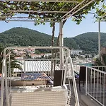 And Zora Ντουμπρόβνικ